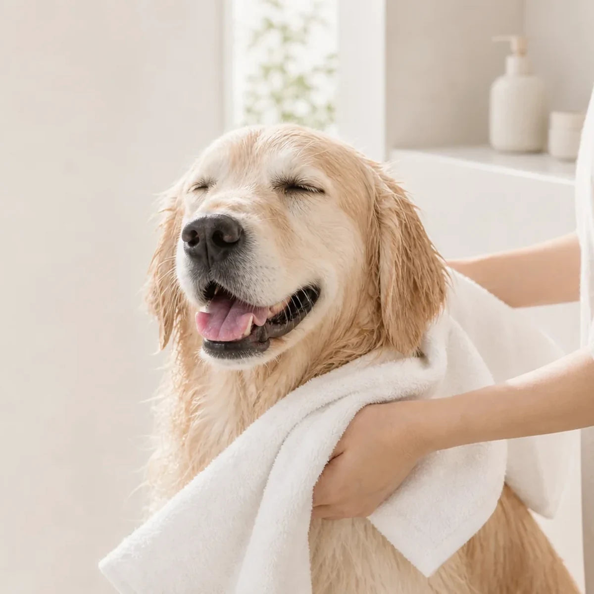 CO2 Tablet For Canine Skincare | Coconut Oil | 10 Pack